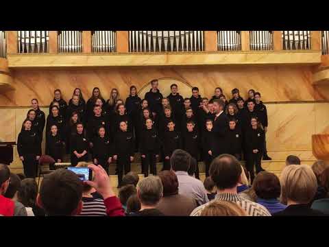 Les nuits de Moscou - Russie 2017