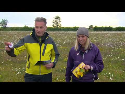 Springwatch 2022   02  Episode 2