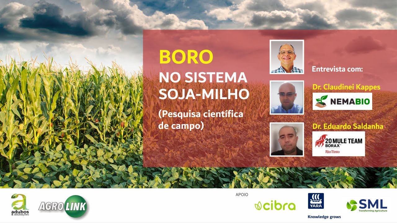 #248 - BORO NO SISTEMA SOJA-MILHO / PESQUISA CIENTÍFICA DE CAMPO