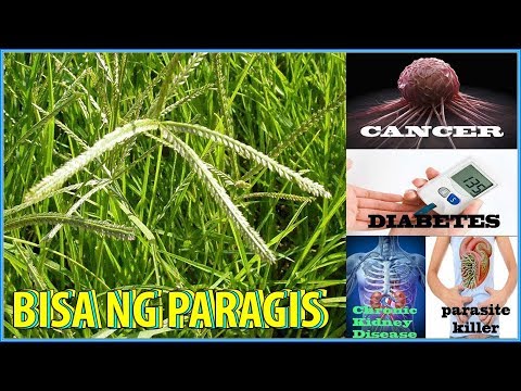 Mga recipe na may flax seed para sa pagbaba ng timbang mga review Yoga magsanay upang alisin ang taba ng tiyan