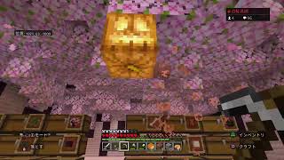 【緑のマイクラ生放送】回線不安定。がんばれポケットWi-Fi