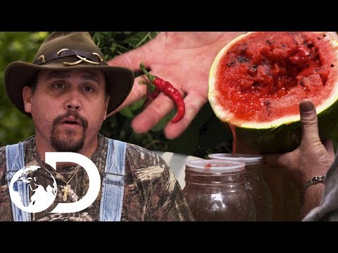 マイク＆ダニエルは、スイカのムーンシャインにホットな新しいツイストを入れてください｜Moonshiners (Mike & Daniel Put A Hot New Twist On Watermelon Moonshine | Moonshiners)