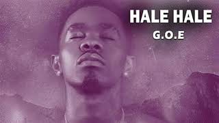 Patoranking - Hale Hale Instrumental
