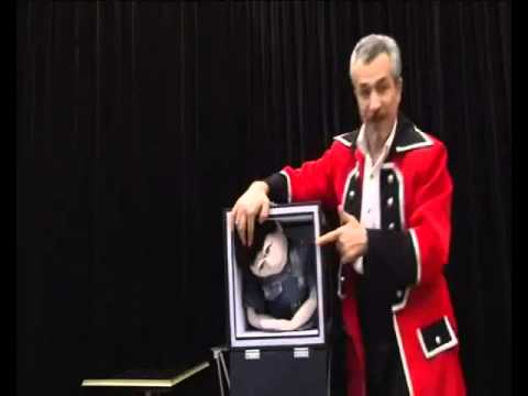 Transformation of Pet to 4 cages - Tora