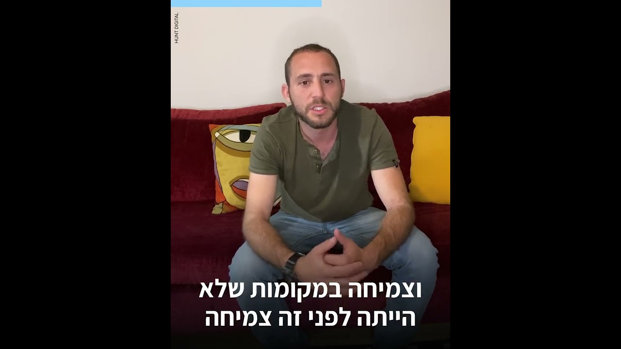 שיבי