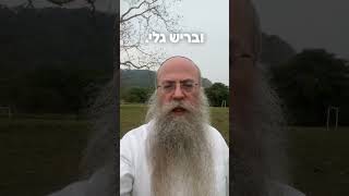 פורים כבר כאן! גם אתם מרגישים שאי אפשר לשמוח השנה באמת? הסרטון הזה בדיוק בשבילכם (הרב נחמיה וילהלם) - התמונה מוצגת ישירות מתוך אתר האינטרנט יוטיוב. זכויות היוצרים בתמונה שייכות ליוצרה. קישור קרדיט למקור התוכן נמצא בתוך דף הסרטון