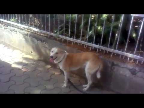 monto at mumbai gpo (general post office,mumbai 400001),on the 1st of september,sinday,2013...