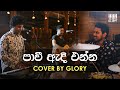 GLORY (Cover) - Pavi Adi Enna - Milton Mallawarachchi | Glory Weddings