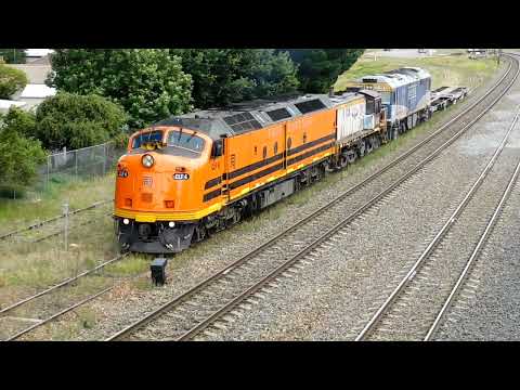 NSW main south- Goulburn area- January mix 2022