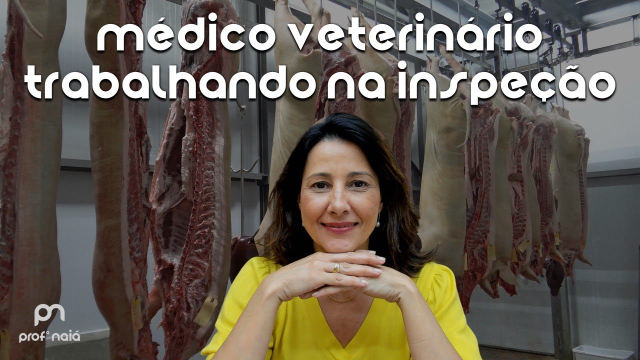 Médico veterinário trabalhando na inspeção