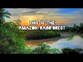 This Is The Amazon Rainforest Tours Brazil Off Roads Travel