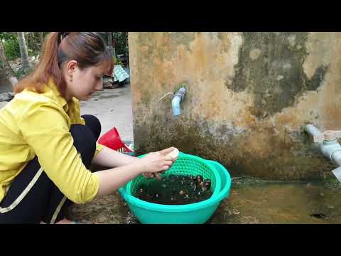 Primitive Technology | New style cooking geese in clay hole | Eating delicious | Survival cooking