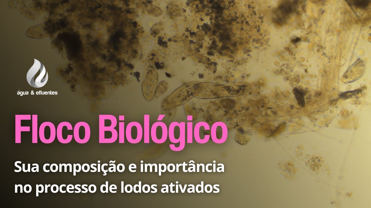 Floco Biológico - Sua composição e importância no processo de lodos ativados