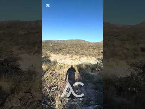 Cabaña en venta con bajada al río en venta en San Francisco del Monte de oro