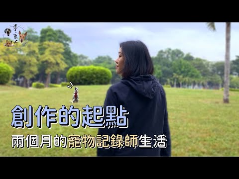 【寵物記錄師】創作的起點，兩個月的寵物記錄師生活 | 麥鹿咘