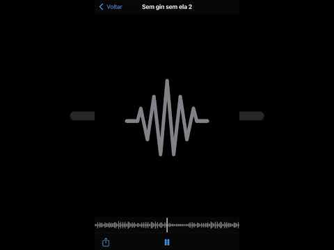 Sem gin sem ela 2 - Mc's IG, Traplaudo e PH