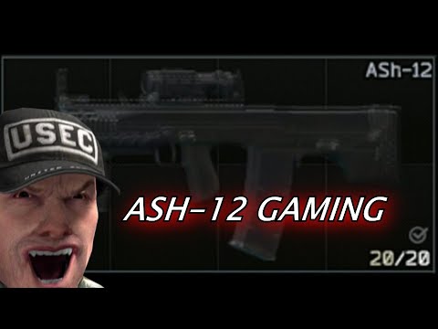 Some epic ash-12 gaming - Escape from tarkov memes