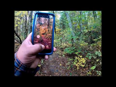 youtube embeded image