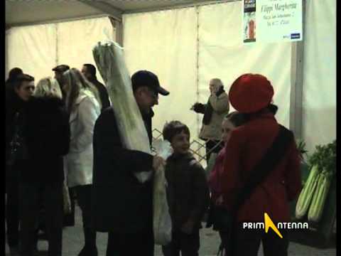 CERVERE (CUNEO): FIERA DEL PORRO