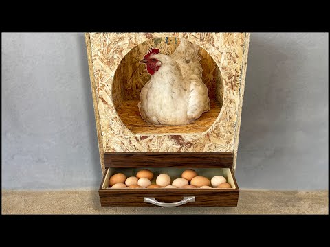 , title : 'Sıradışı Fikirler | Otomatik ve Akıllı Yumurta Folluk Yapımı'