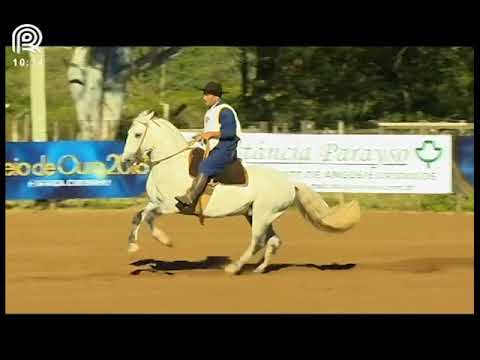 Classificatória Região Norte – 1° lugar machos – Madrugador 532 da Reconquista (Bayard/Sarmento)