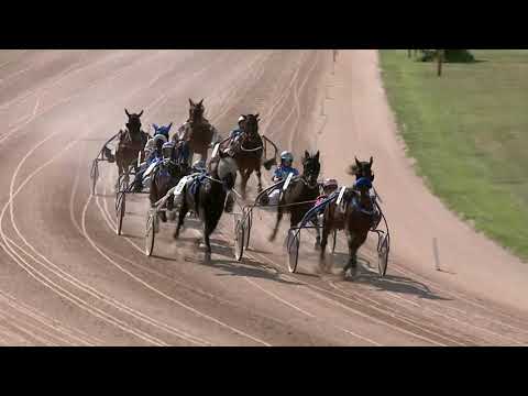 2021.06.19. 05. futam - DIÓS HENDIKEP