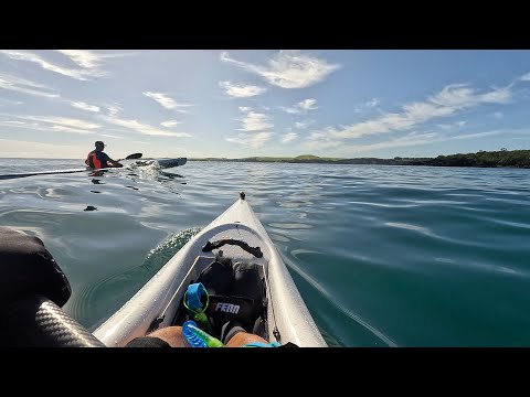 Rangitoto Island trip