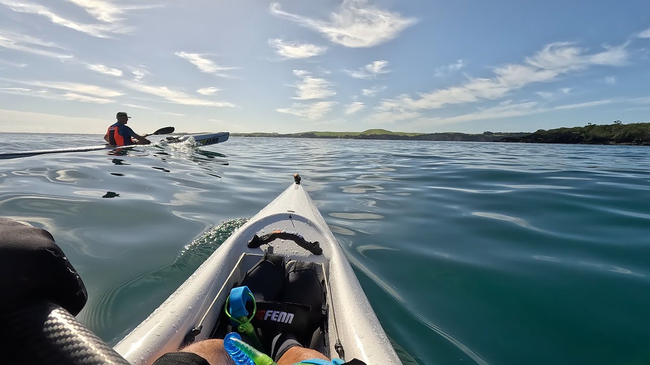 Rangitoto Island trip