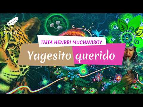 🎶 Música de Medicina 🌿 Yagesito Querido ✨ | Taita Henrri Muchavisoy 🙏