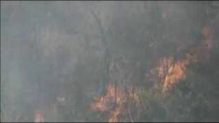 Fires burn in NSW&#39;s Hawkesbury area