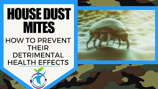 HOUSE DUST MITES - Preventing Detrimental Health Effects