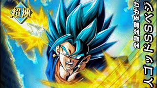 速ベジブルと5周年ベジブルが超連撃！！！【ドラゴンボールZ ドッカンバトル】