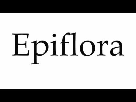How to Pronounce Epiflora