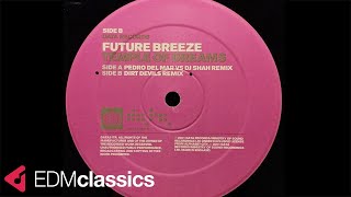 Future Breeze - Temple of Dreams (Dirt Devils Remix) (2001)