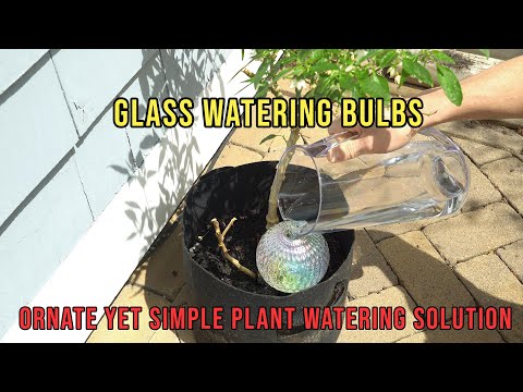 GARDENBRO Plant Watering Globes XL with Metal Self Watering Planter Insert