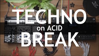 Video thumbnail for Techno Break on ACID / Playing with the TB-303 Bass Line from Pico Voice by Ihor