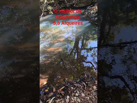 O melhor de itapuranga Go 5,5 Alqueires.   Werverson  62 991447713