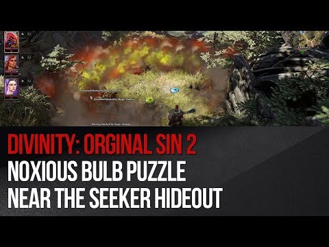 Divinity: Original Sin 2 - Noxious Bulb puzzle near the Seeker Hideout