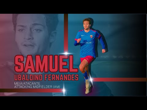 Samuel Ubaldino Fernandes