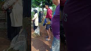 Download lagu tetangga lagi berduka cita #comedy #sinetronkomedi #drama mp3