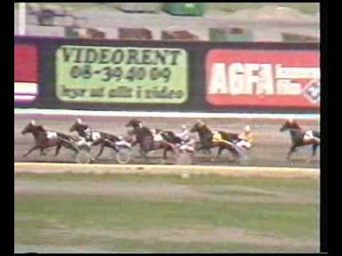 Elitloppet 1981 Second Elimination Heat - Ideal du Gazeau / Eugene Lefevre