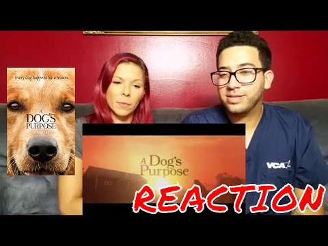 A Dog's Purpose Trailer 1 (2017) - Dennis Quaid Movie | Reaction