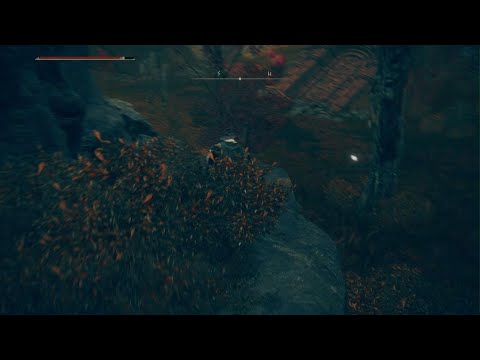 Definitely Not a Trap in... ELDEN RING DLC