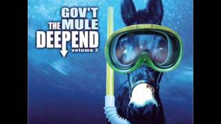 Gov't Mule - Lay Your Burden Down.wmv