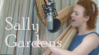 Sally Gardens – HARP / VOICE (Christy-Lyn)