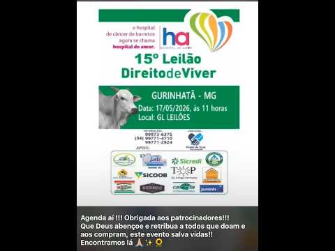 15  LEILÃO DIRETO DE VIVER
