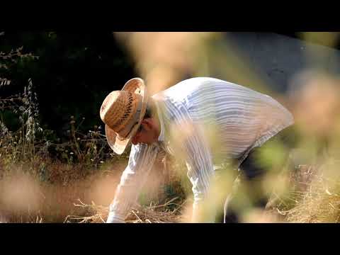 I Campi Sperimentali di Ercole Maggio