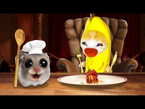 Ratatouille Vibes: Banana Cat Learns to Cook with Sad Hamster! 🐱 Banana Cat Compilation | Cat MEME 😿