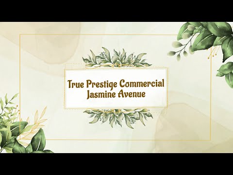 3D Tour Of Building True Prestige Commercial Jasmine Avenue