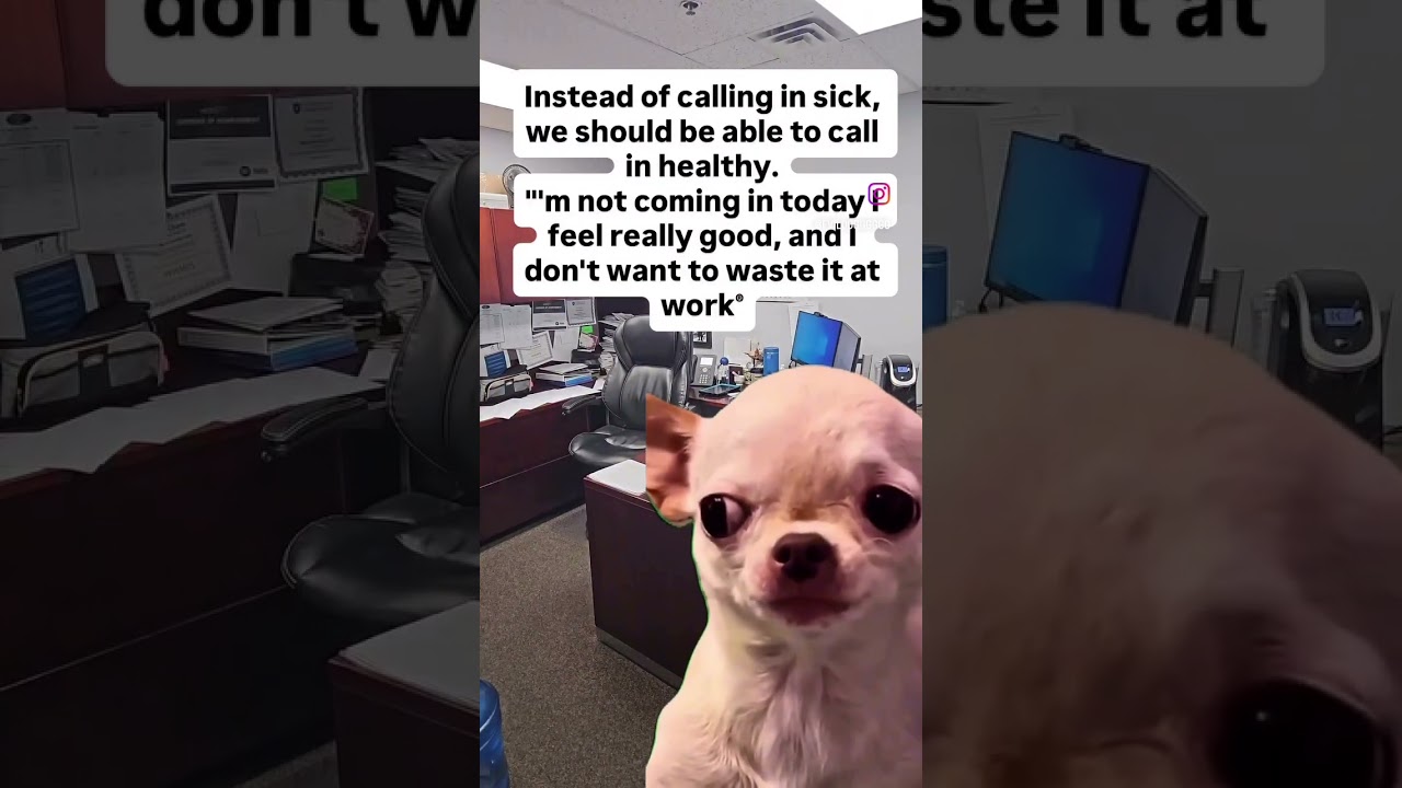 Things that make you go hmmm! 🤔 🤣